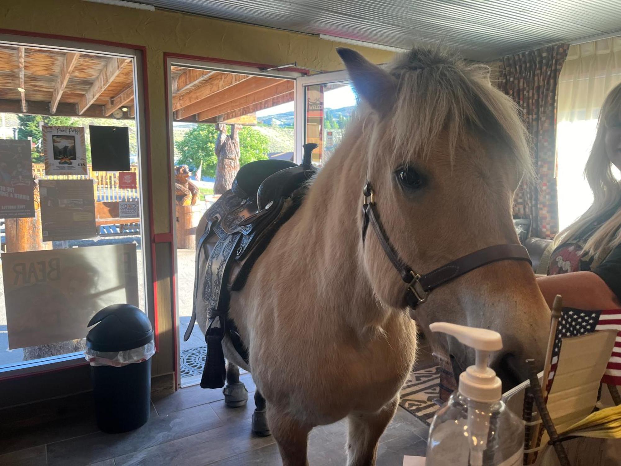 Big Bear Motel Cody Ngoại thất bức ảnh